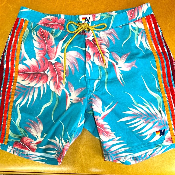 Aviator Nation Other - Aviator Nation Board Shorts